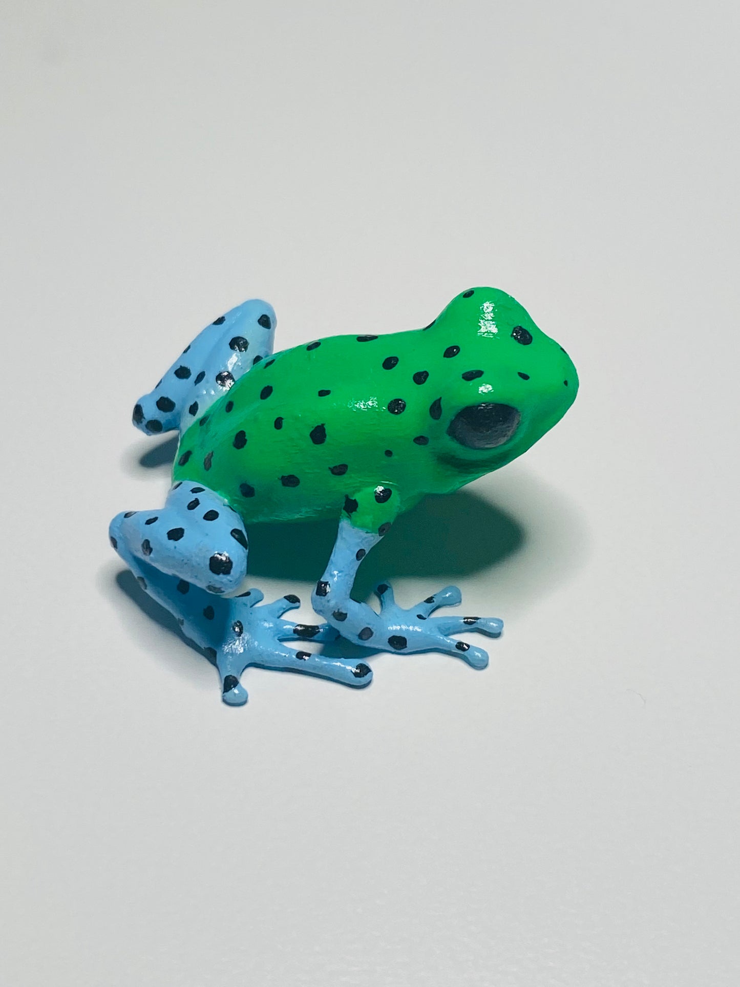 3D Printed Frog Medium Oophaga pumilio "Punta Laurel"
