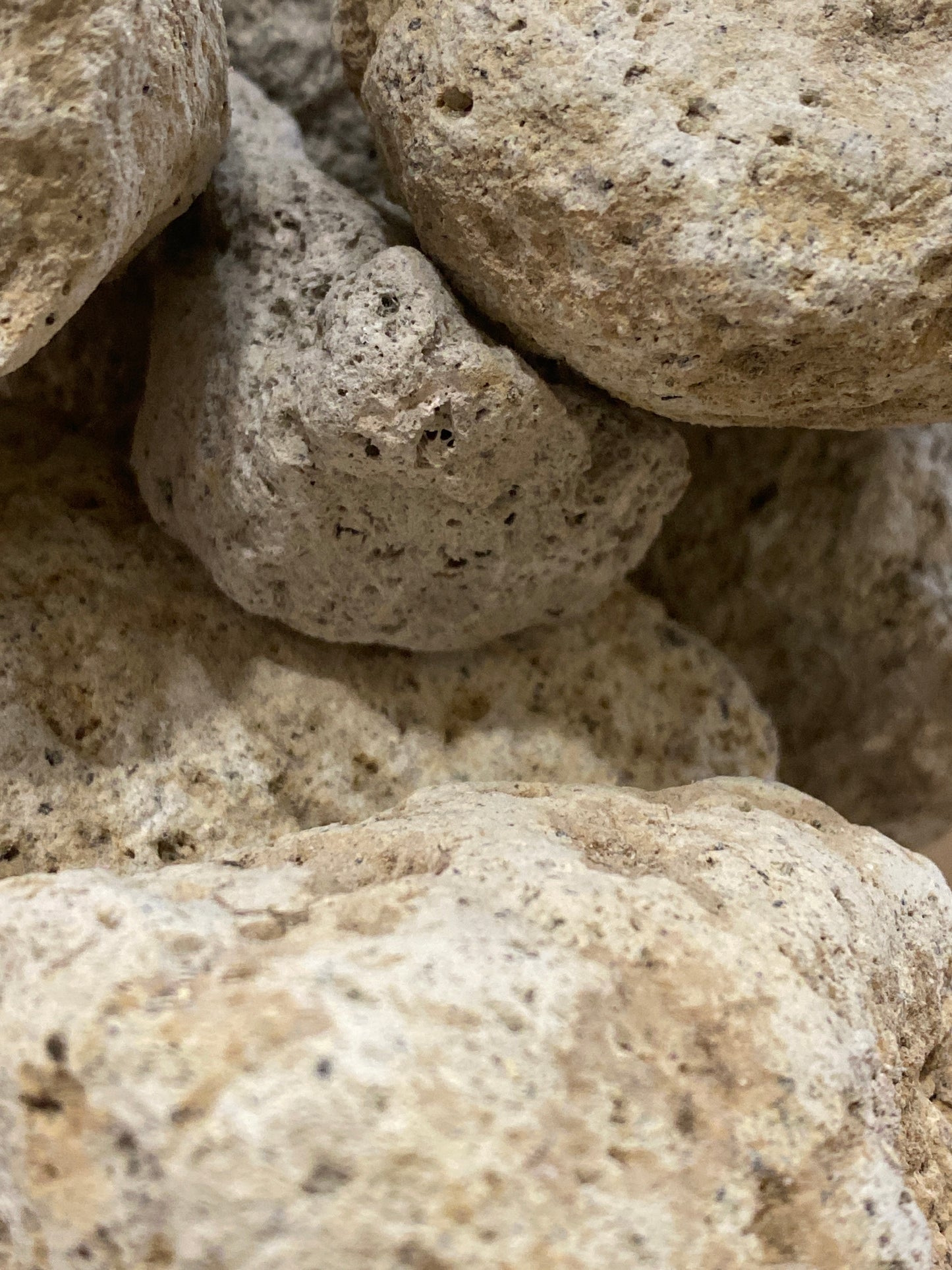 White Pumice Rock Hardscape