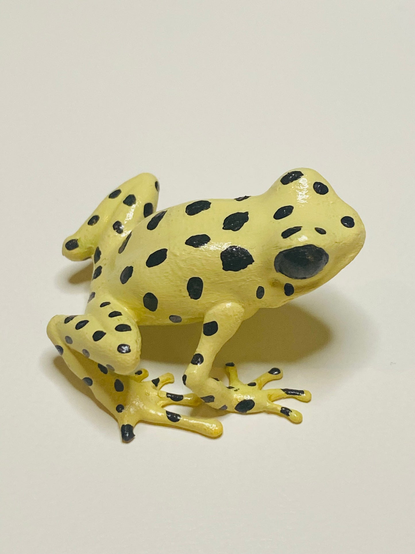 3D Printed Frog Medium Oophaga pumilio “Bastimentos” (Cemetery)