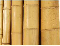 Bamboo Poles