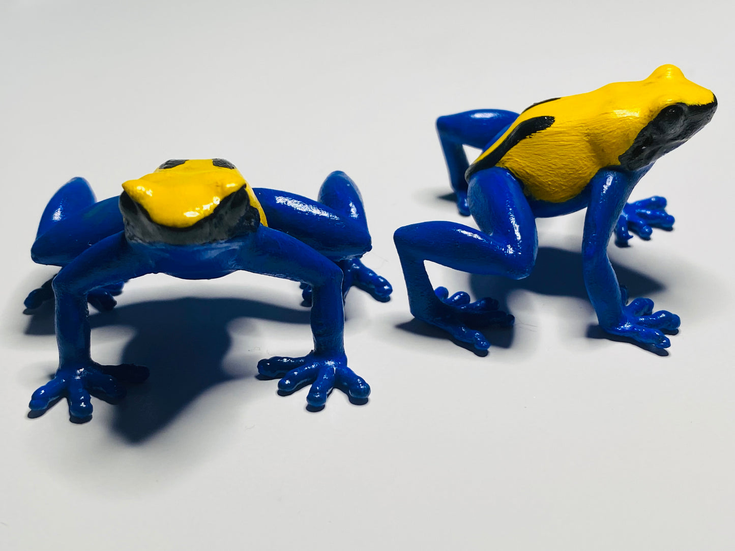 3D Printed Frog Large Dendrobates tinctorius Citronella