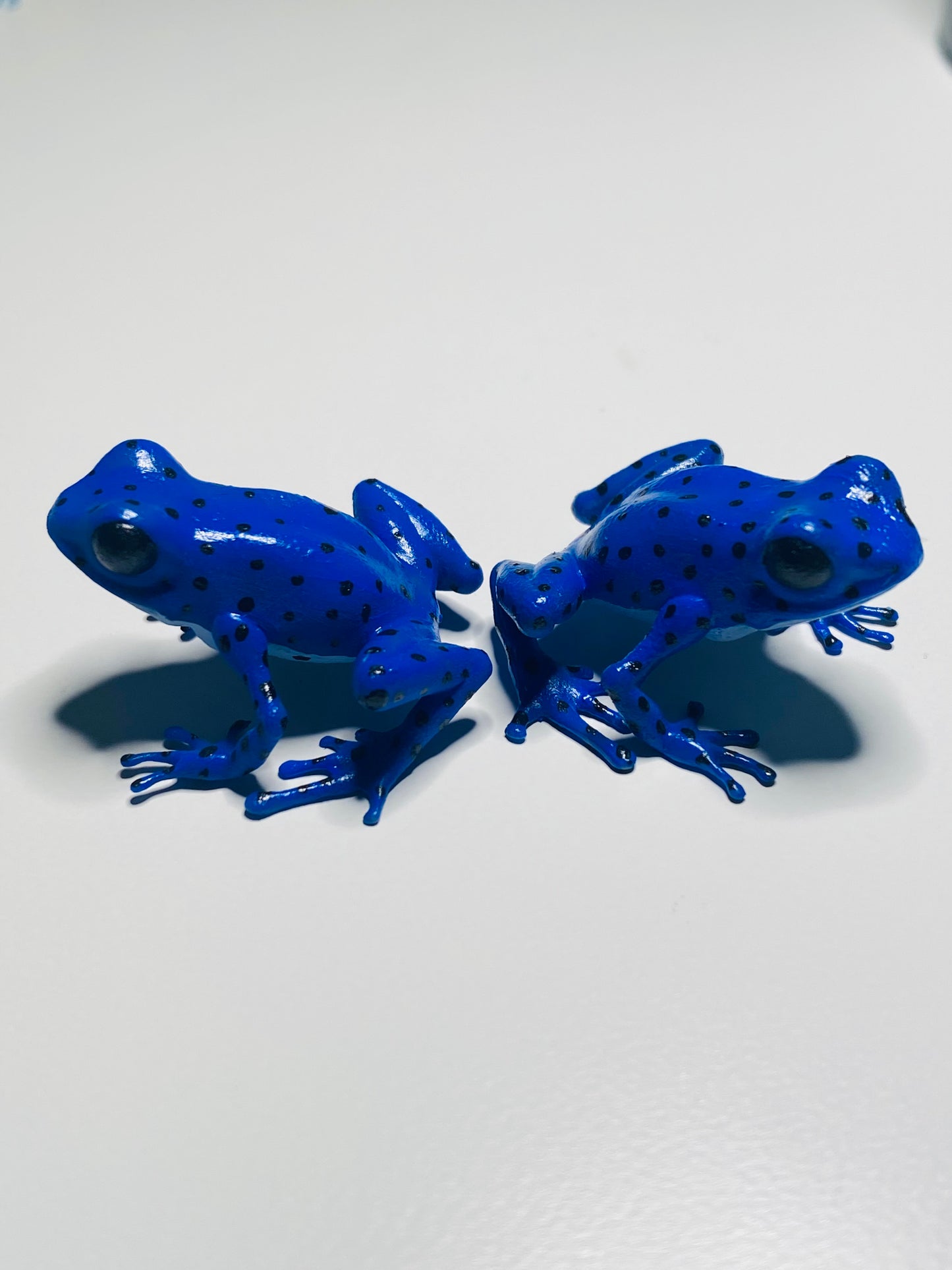 3D Printed Frog Medium Oophaga pumilio- Blue