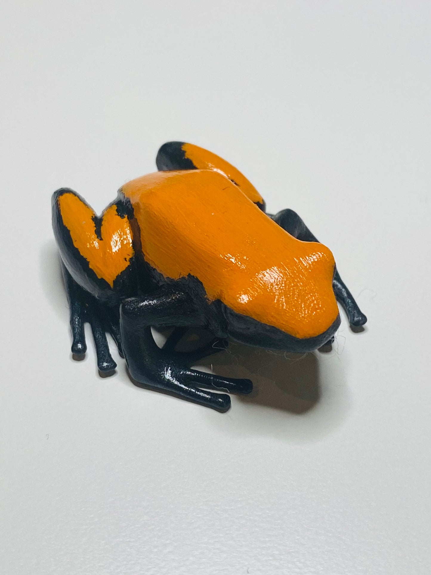 3D Printed Frog Large Adelphobates galactonotus “Orange"