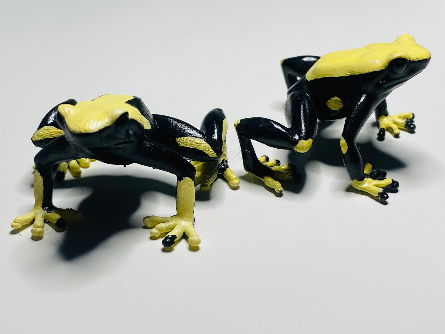 3D Printed Frog Large Dendrobates tinctorius Yellowback/ Cream