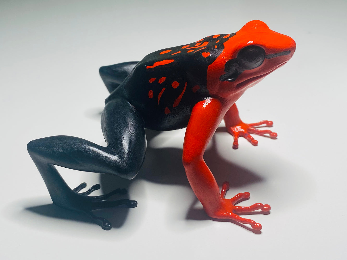 3D Printed Frogs Extra Large Ameerega silverstonei