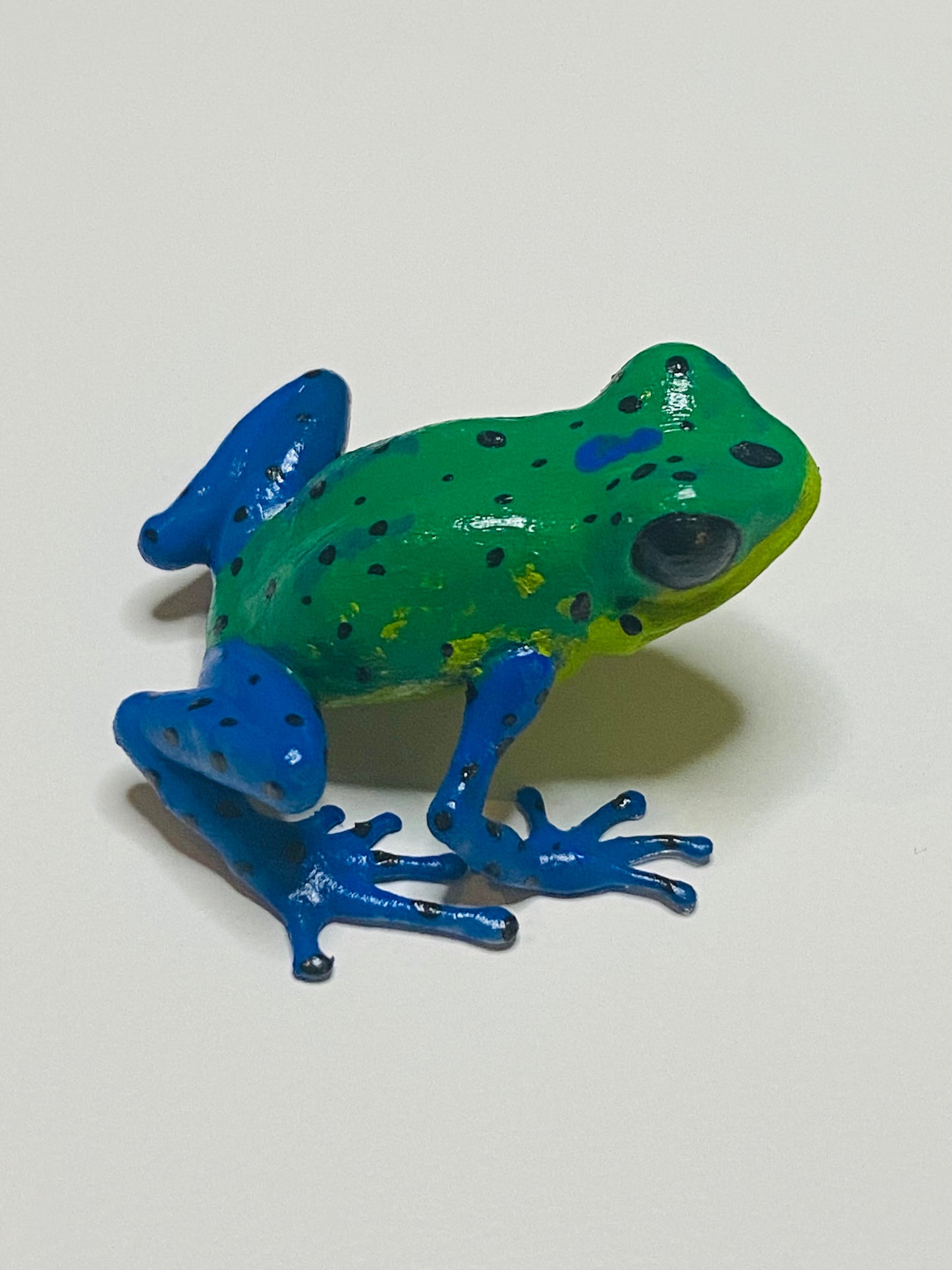 3D Printed Frog Medium Oophaga pumilio “Chiriqui Grande” (Man Creek)