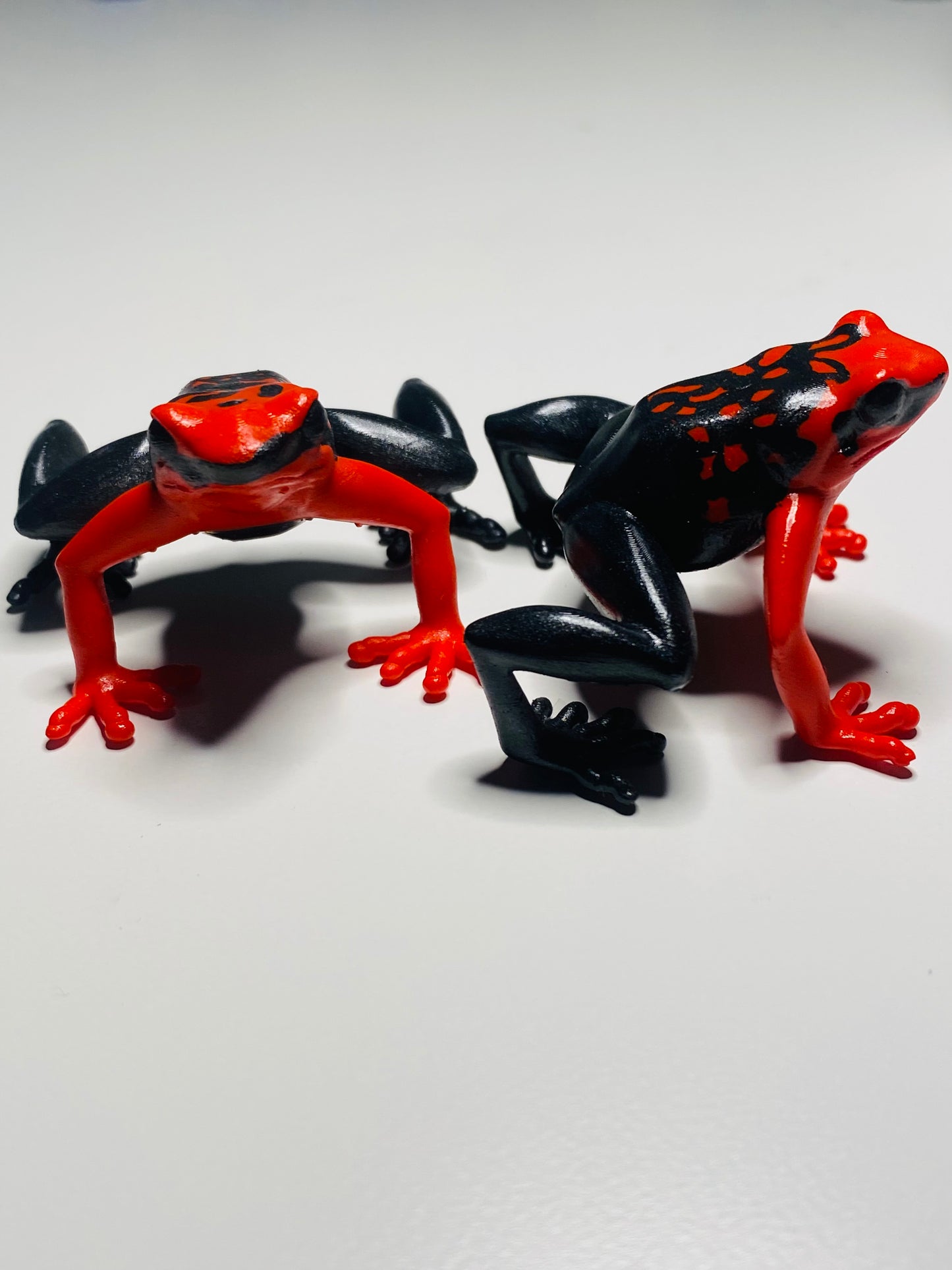 3D Printed Frog Large Ameerega silverstonei