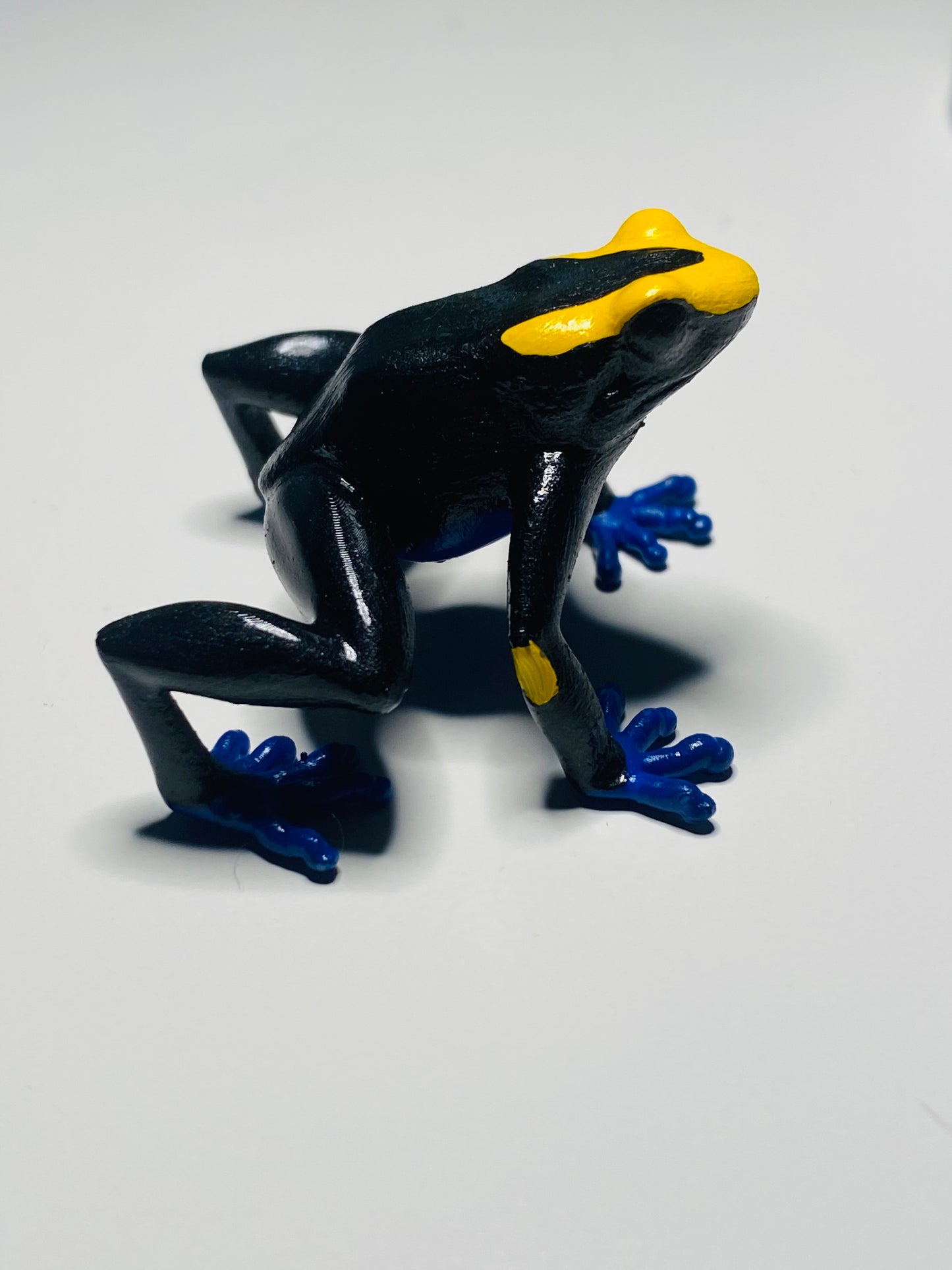 3D Printed Frog Large Dendrobates Tinctorius “Lorenzo”