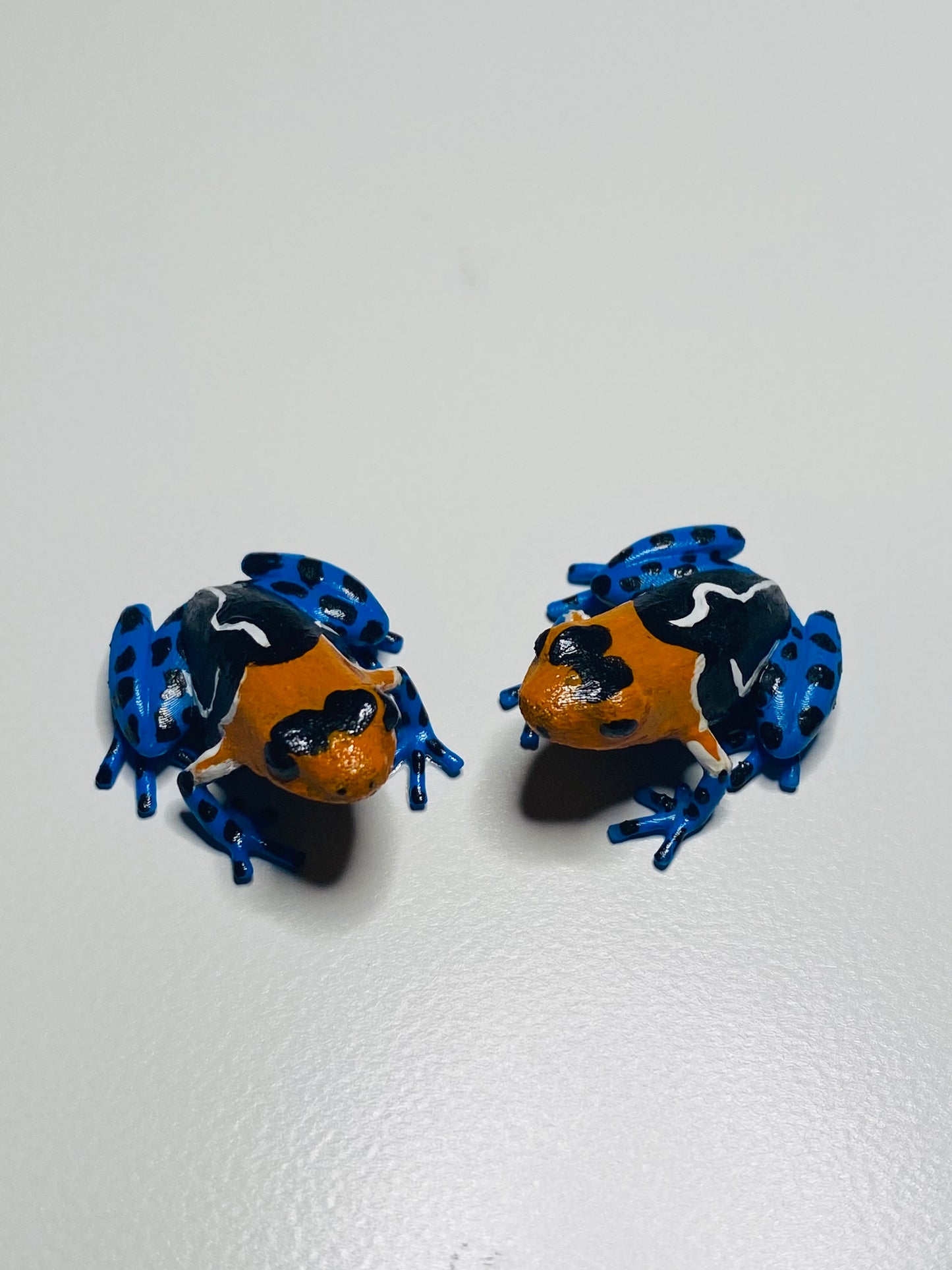 3D Printed Frog Small Ranitomeya fantastica ”Caynarachi“