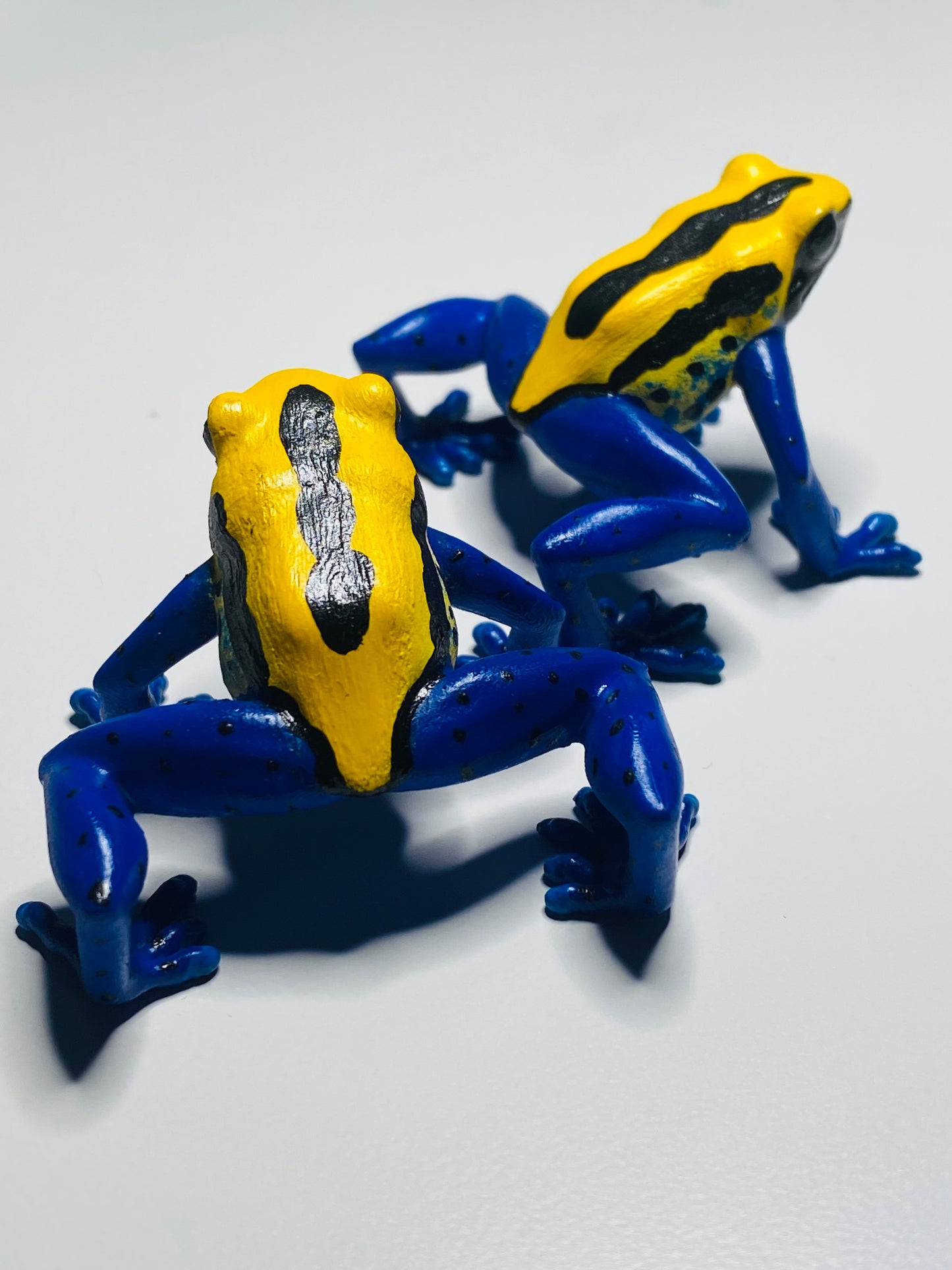 3D Printed Frog Large Dendrobates tinctorius "Brazilian Yellow Head"