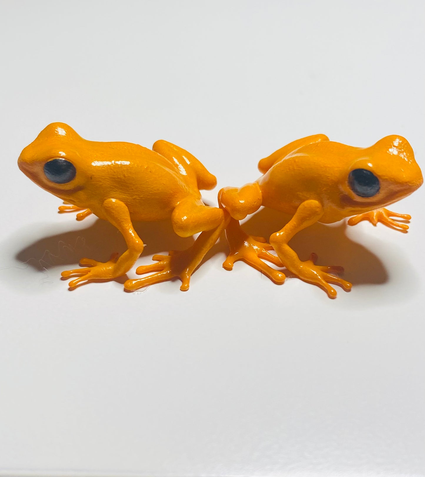 3D Printed Frog Medium Mantella aurantiaca ( Golden Mantella)