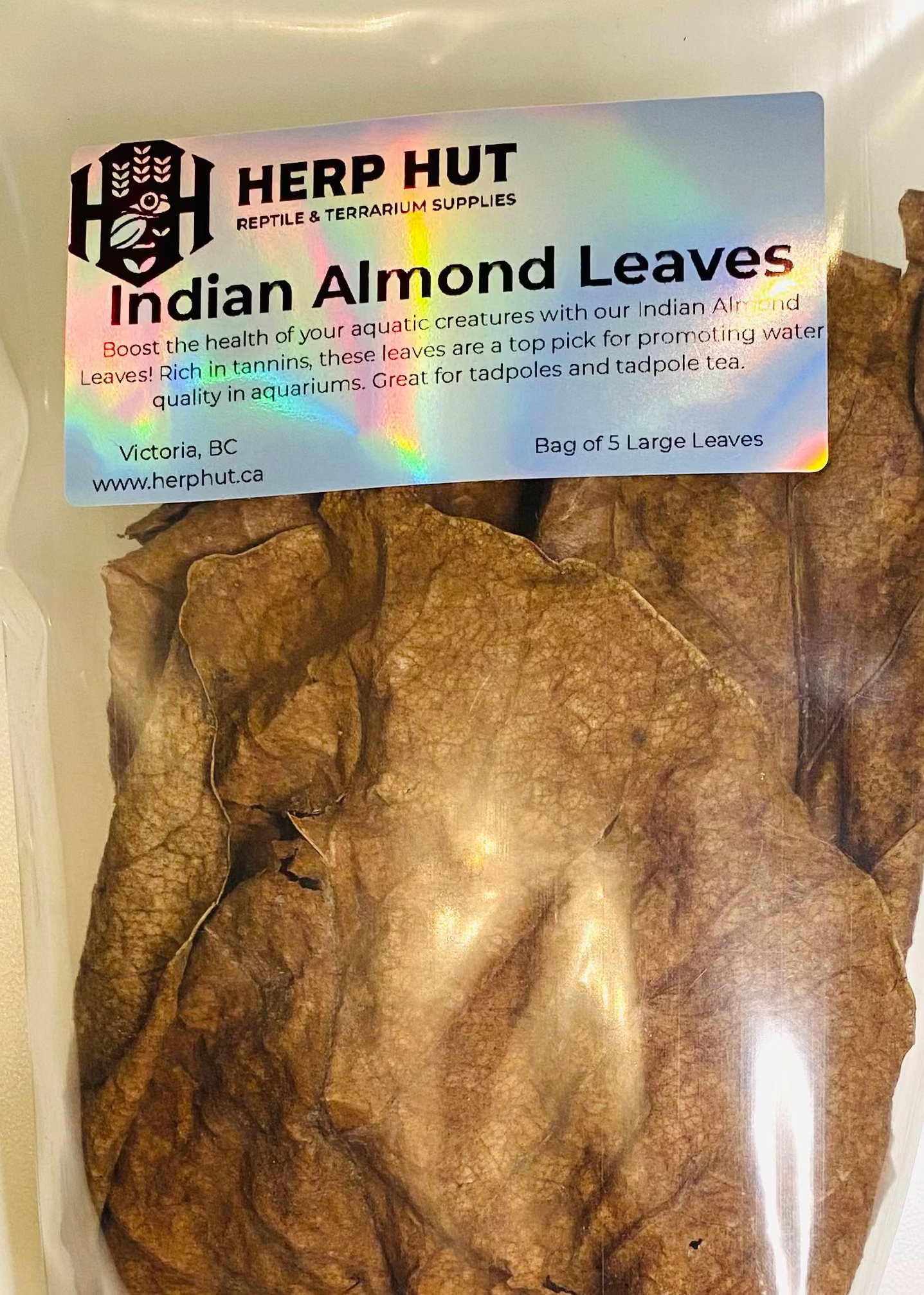 Indian Almond Leaves