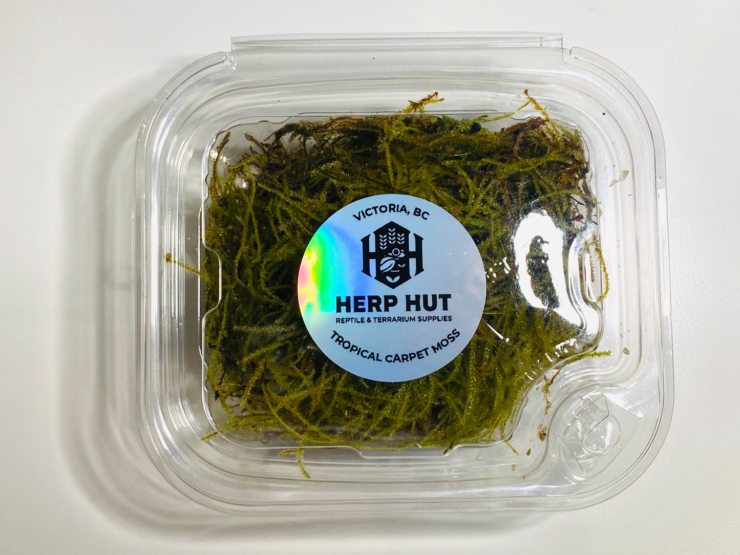 Tropical Carpet Moss-aprox 4x4” mat
