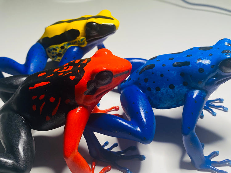 3D Printed Frogs Extra Large