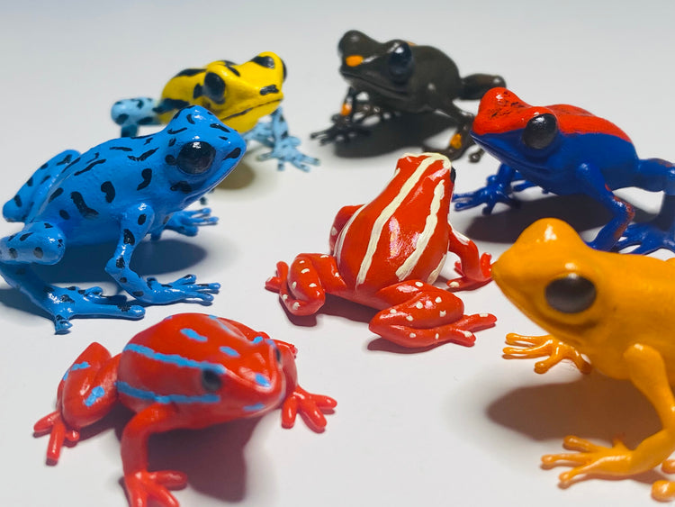 3D Printed Frogs Medium