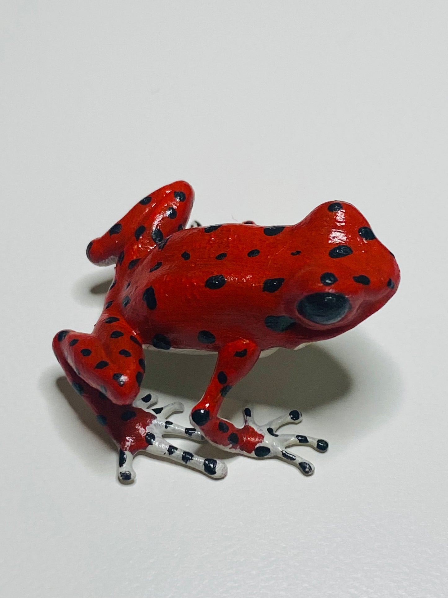 3D Printed Frog Medium Oophaga pumilio “Bastimentos” (Red Frog Beach)white feet and belly
