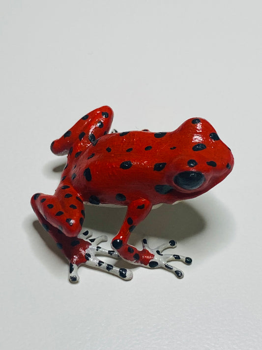 3D Printed Frog Medium Oophaga pumilio “Bastimentos” (Red Frog Beach)white feet and belly