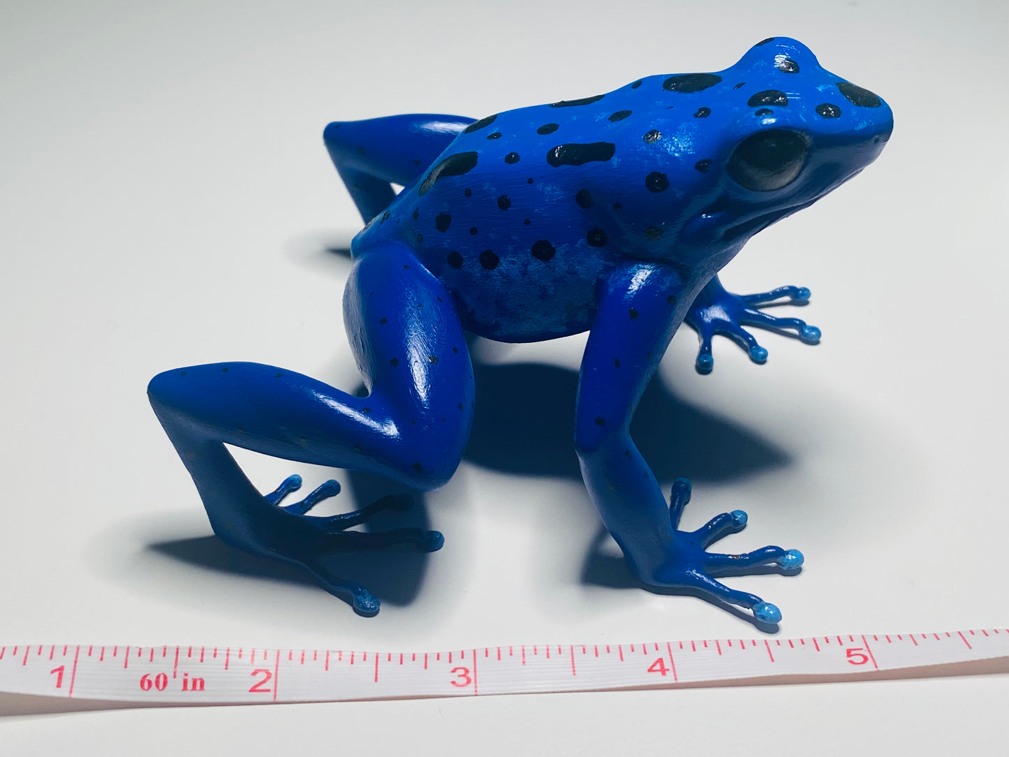 3D Printed Frogs Extra Large Dendrobates tinctorius "Azureus”