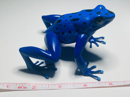 3D Printed Frogs Extra Large Dendrobates tinctorius "Azureus”