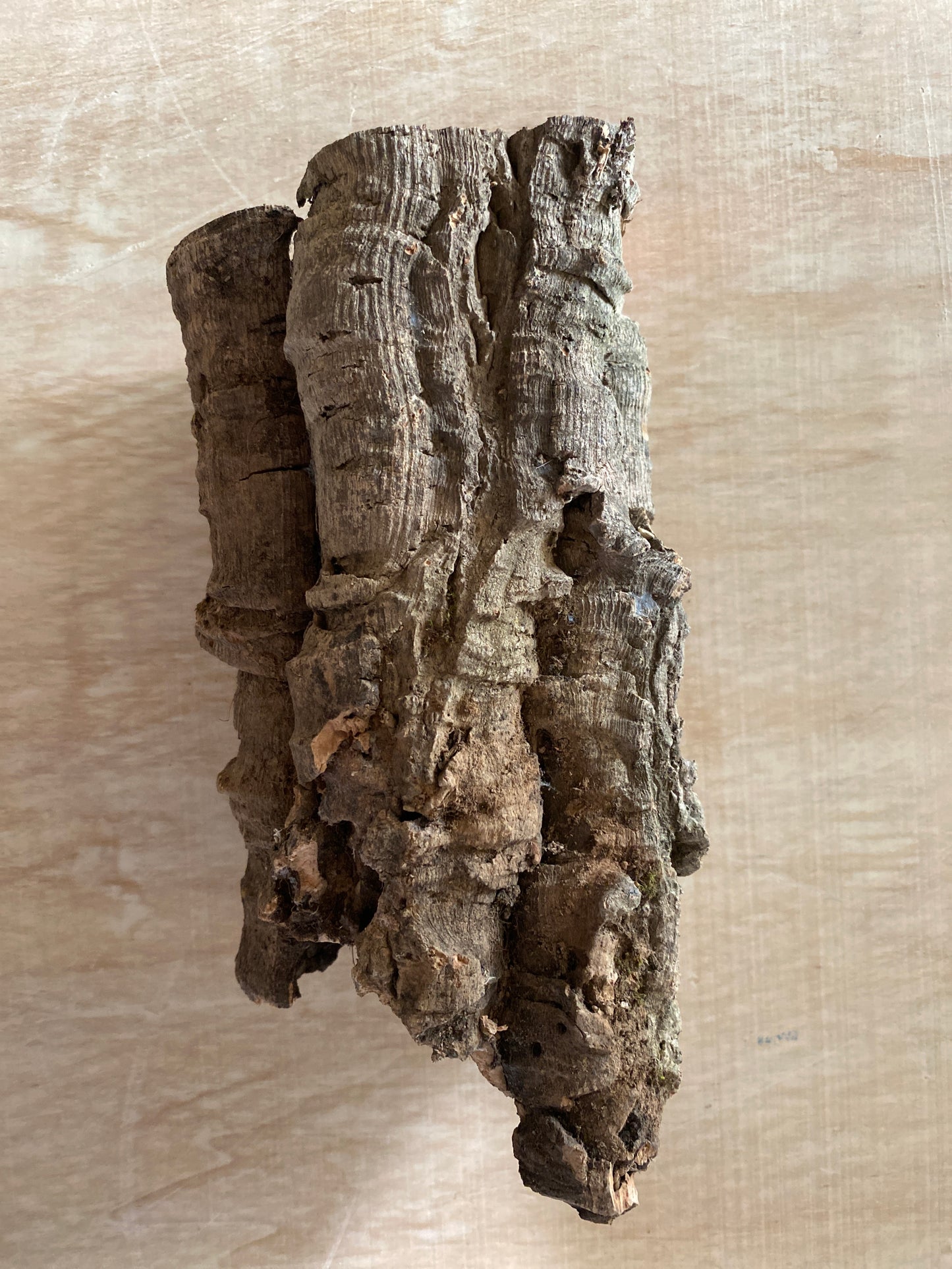 Cork Rounds
