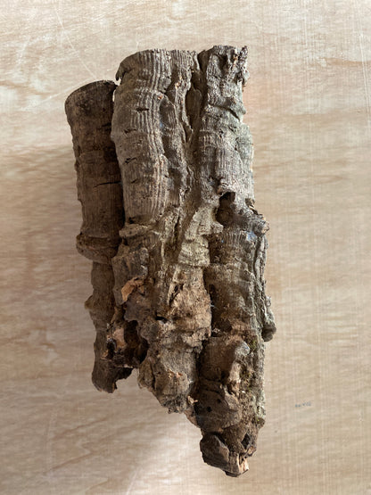 Cork Rounds