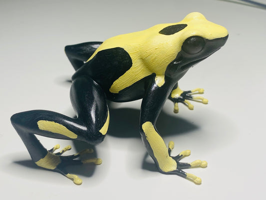 3D Printed Frogs Extra Large Dendrobates tinctorius 'Yellowback'/ cream