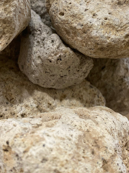 White Pumice Rock Hardscape