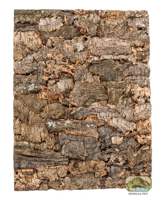 NEWCAL Virgin Cork Bark Background