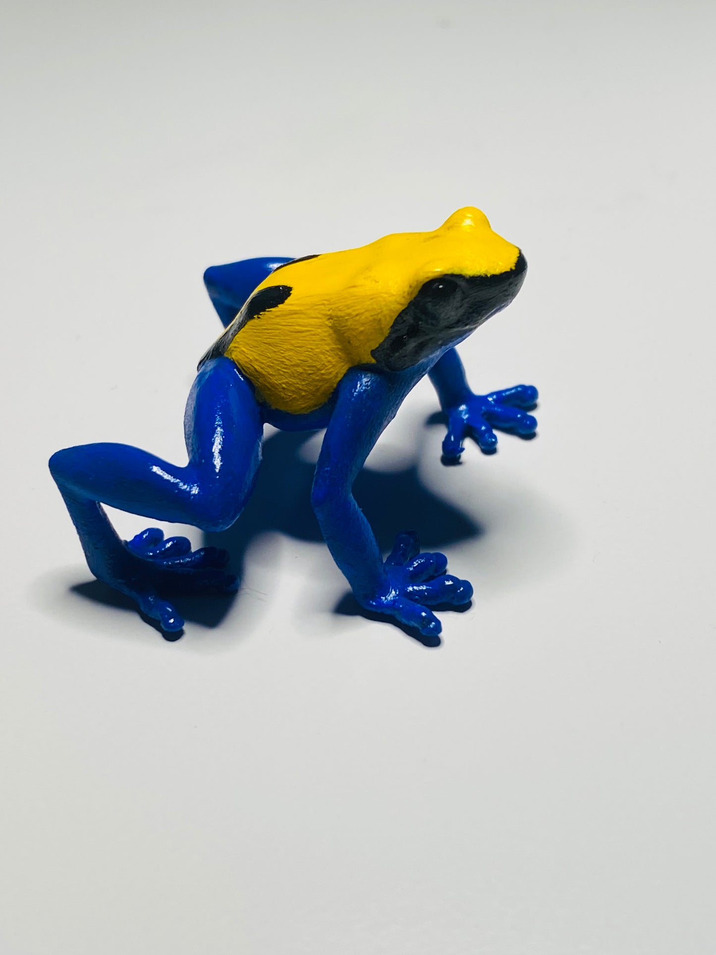 3D Printed Frog Large  Dendrobates tinctorius Citronella