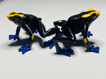 3D Printed Frog Large Dendrobates Tinctorius “Lorenzo”