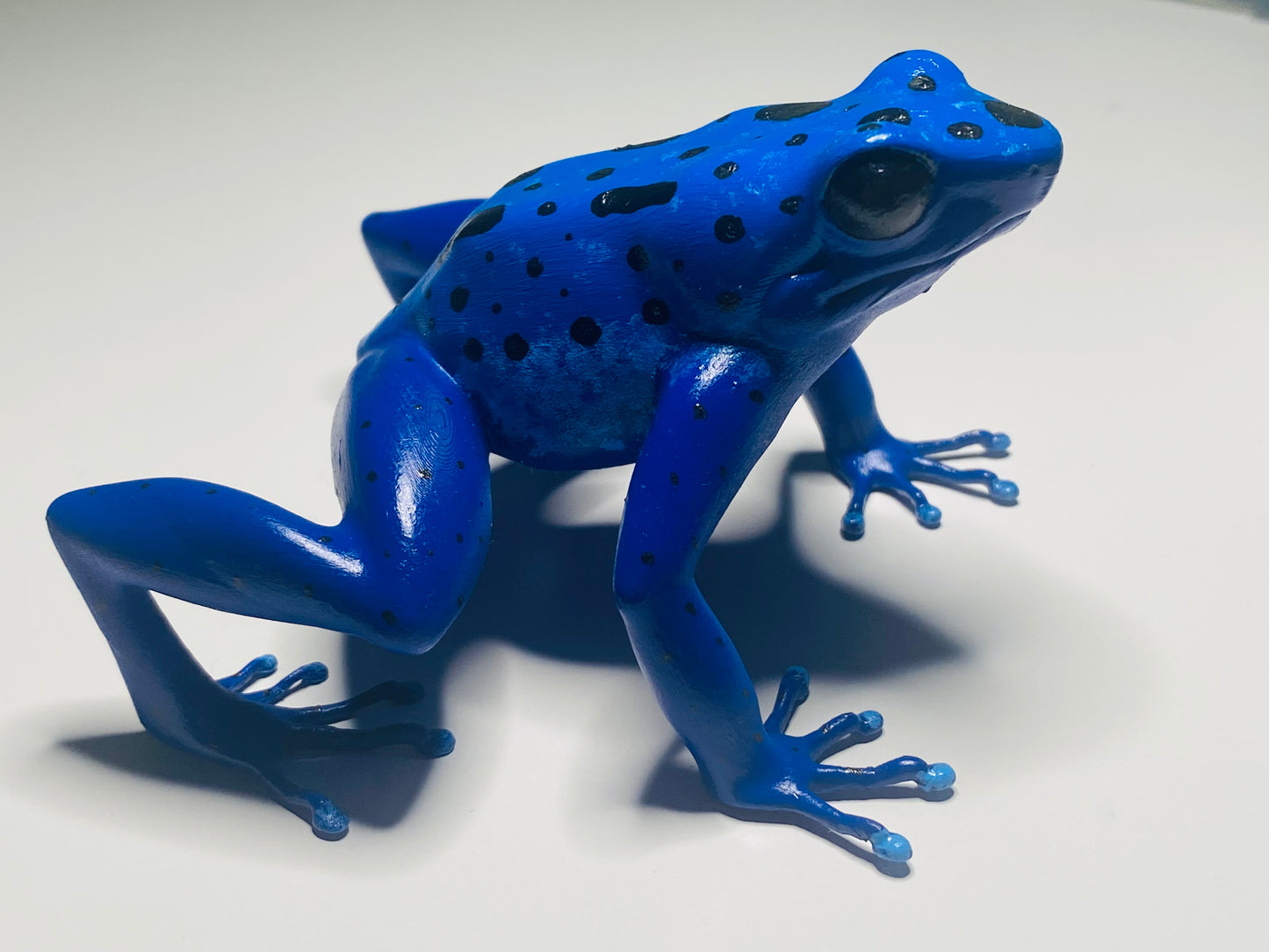 3D Printed Frogs Extra Large Dendrobates tinctorius "Azureus”