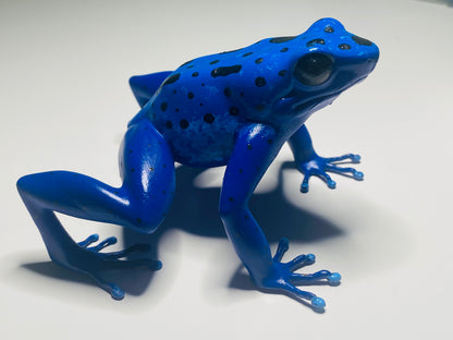 3D Printed Frogs Extra Large Dendrobates tinctorius "Azureus”