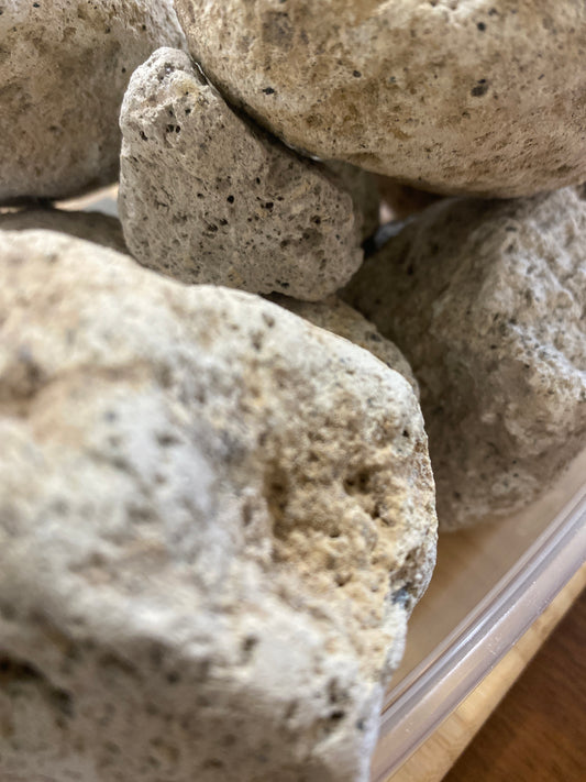 White Pumice Rock Hardscape