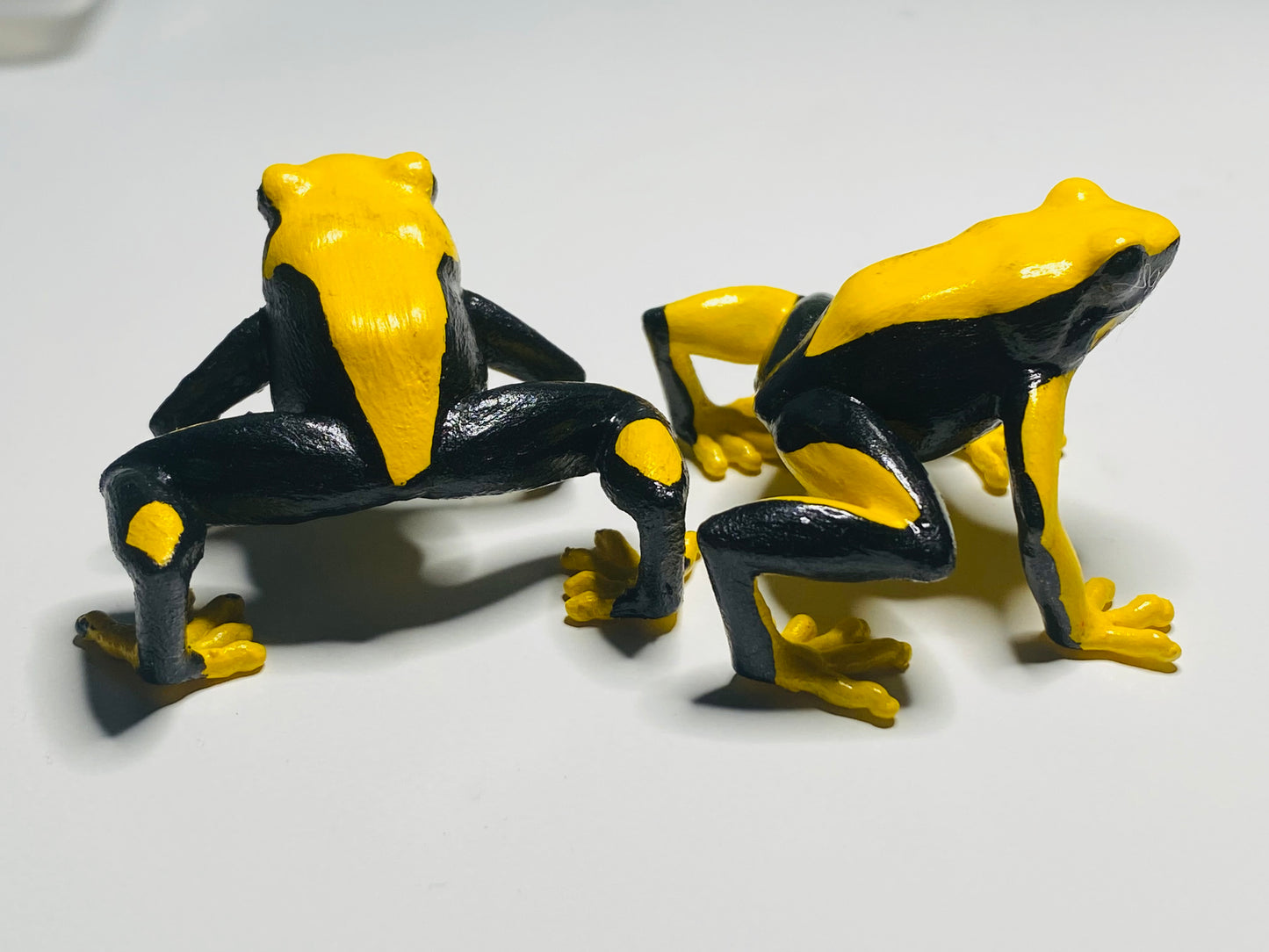 3D Printed Frog Large Dendrobates tinctorius “Yellowback”