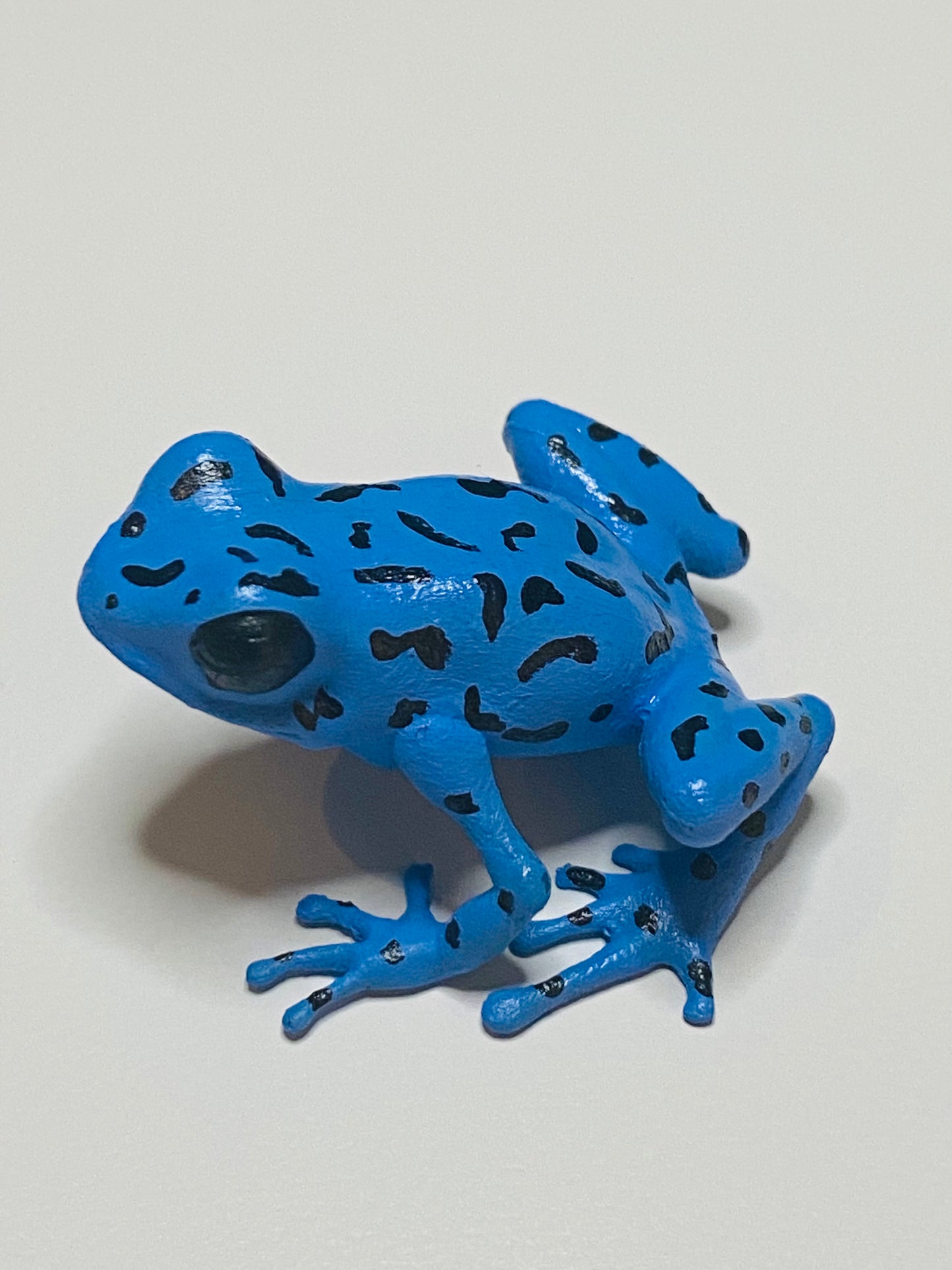 3D Printed Frog Medium Oophaga pumilio Rio Colubre