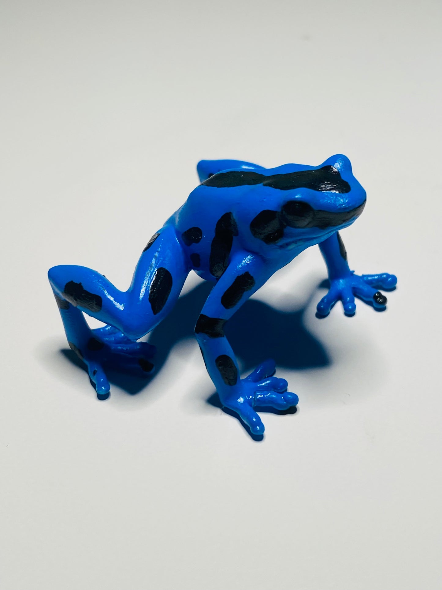 3D Printed Frog Large Dendrobates auratus 'Blue & Black'