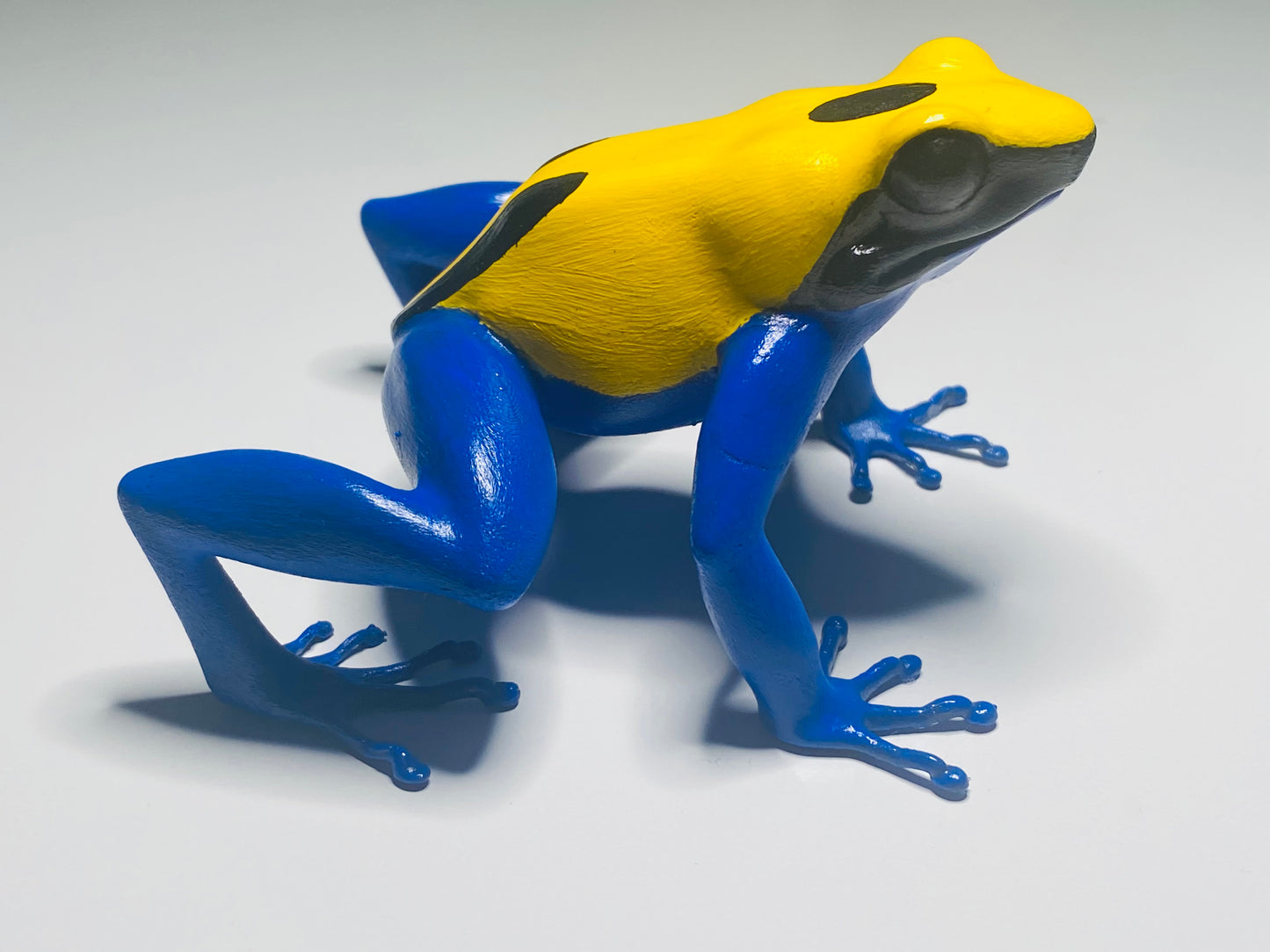 3D Printed Frogs Extra Large Dendrobates tinctorius Citronella