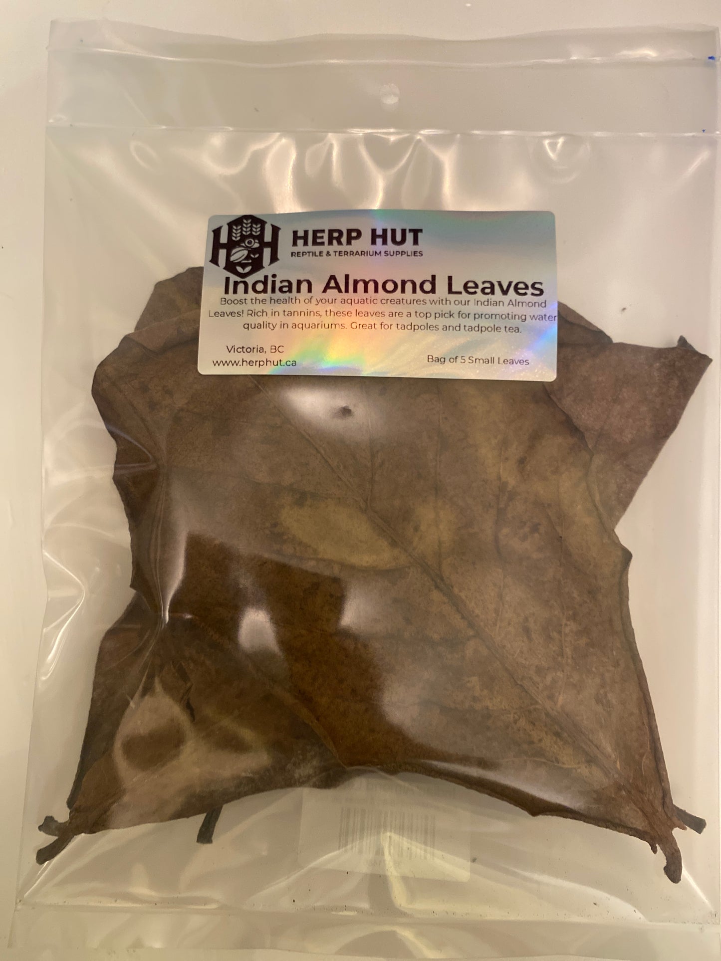 Indian Almond Leaves