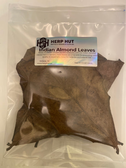 Indian Almond Leaves