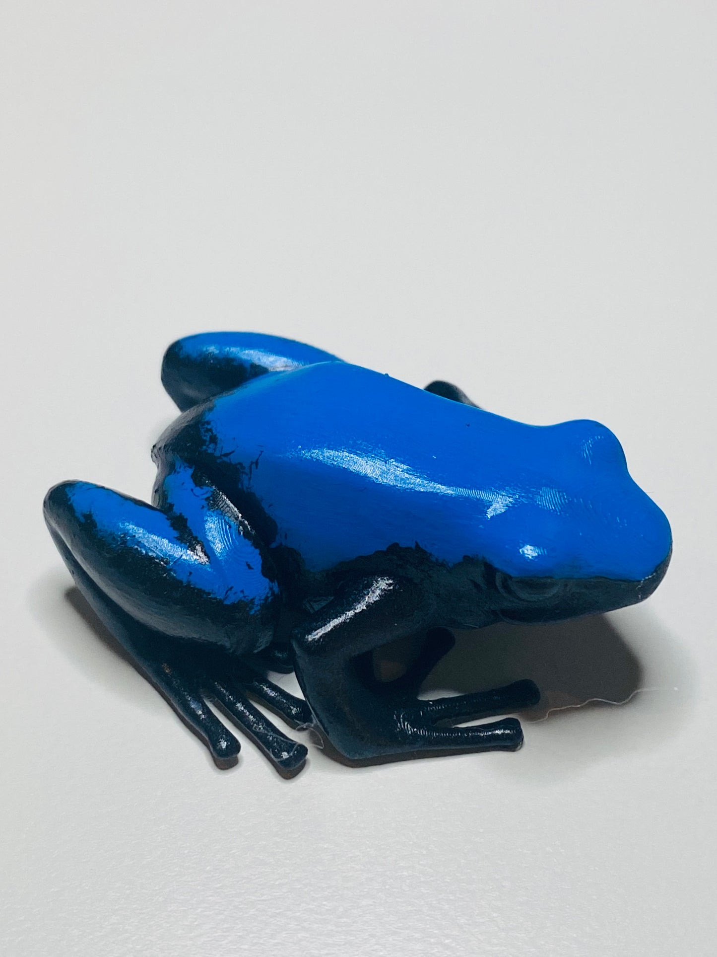 3D Printed Frog Large Adelphobates galactonotus “Blue"