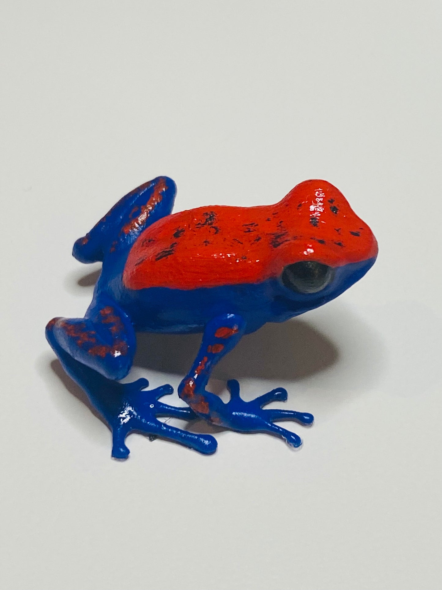 3D Printed Frog Medium Oophaga pumilio ‘Escudo’