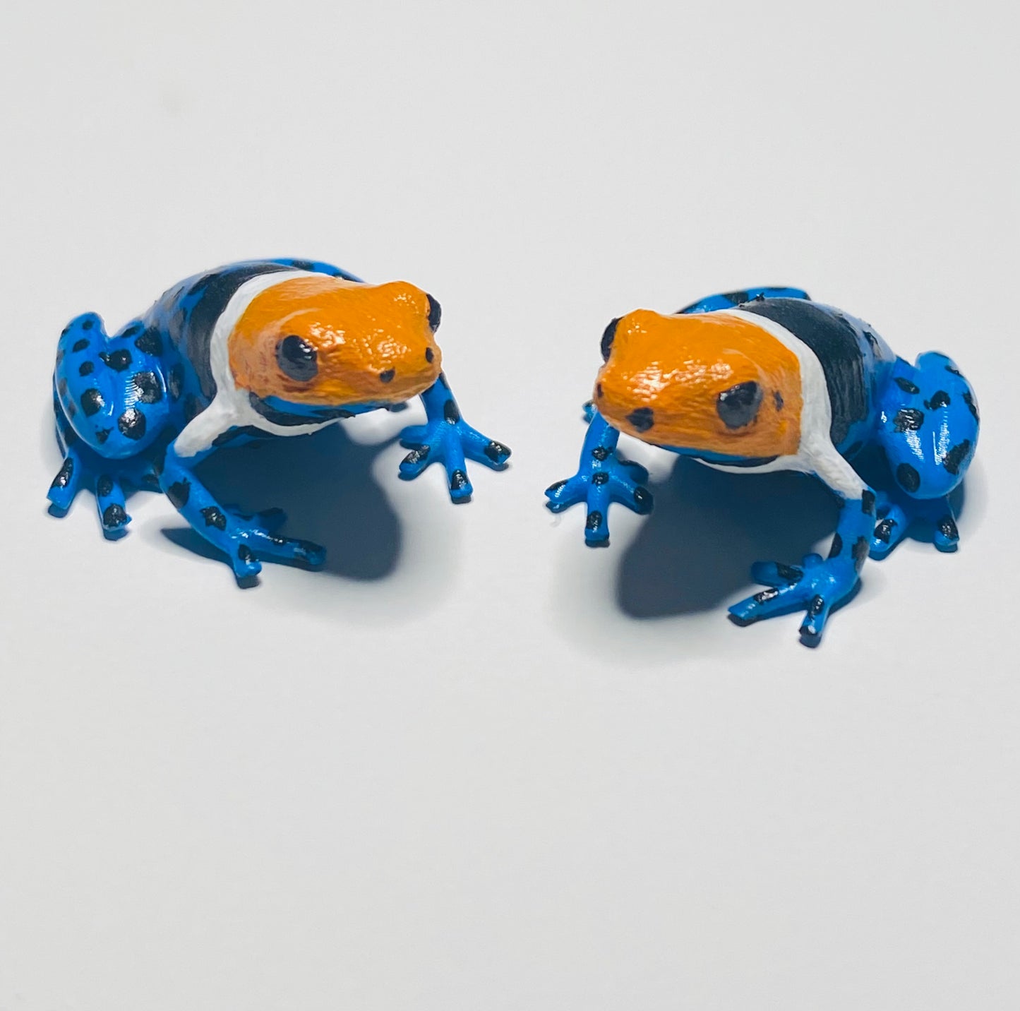 3D Printed Frog Small Ranitomeya fantastica "True Nominal"