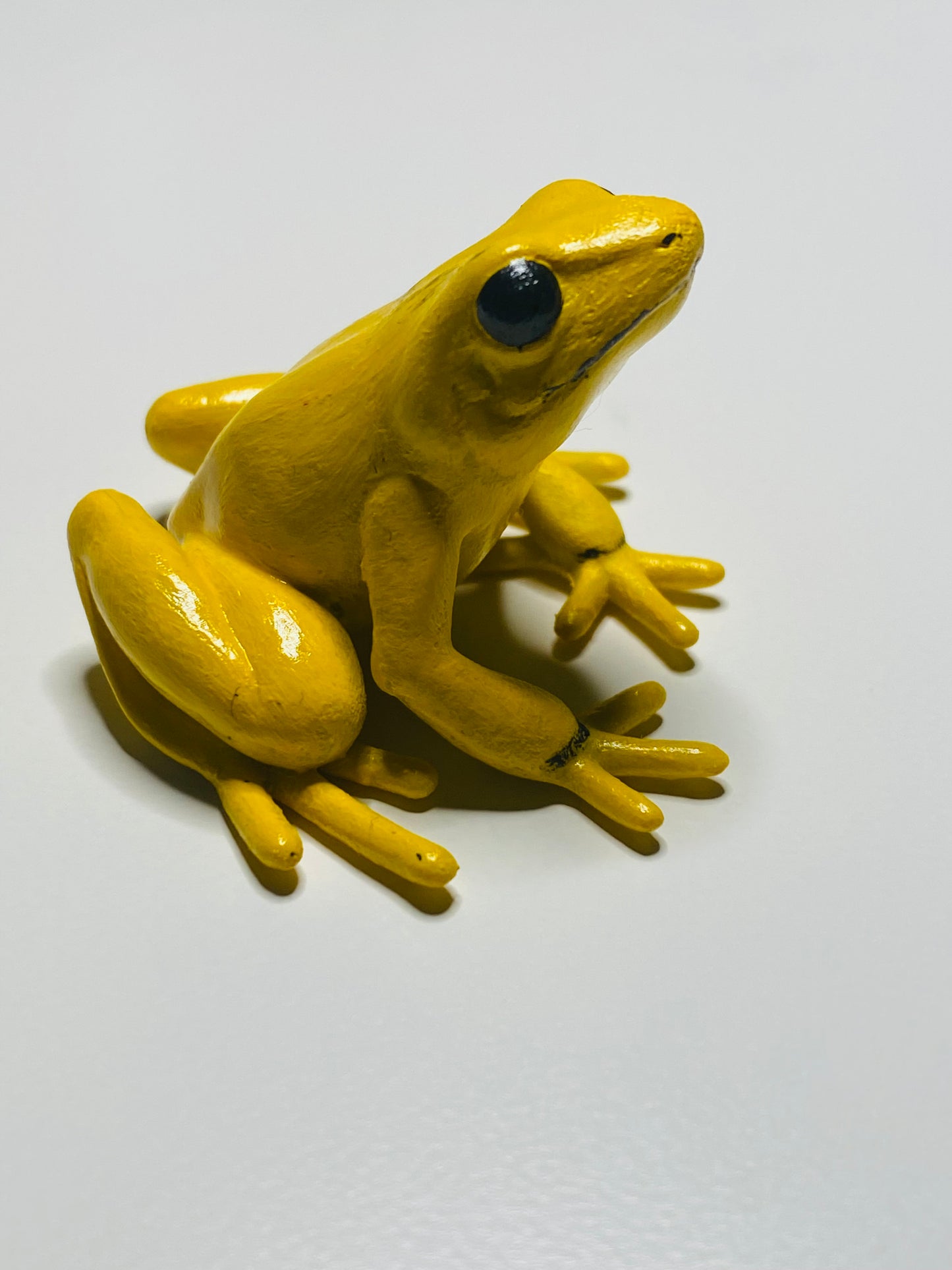 3D Printed Frog Large Phyllobates terribilis yellow