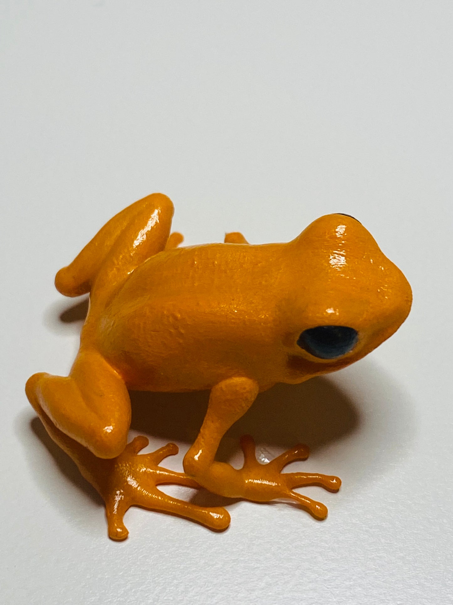 3D Printed Frog Medium Mantella aurantiaca ( Golden Mantella)