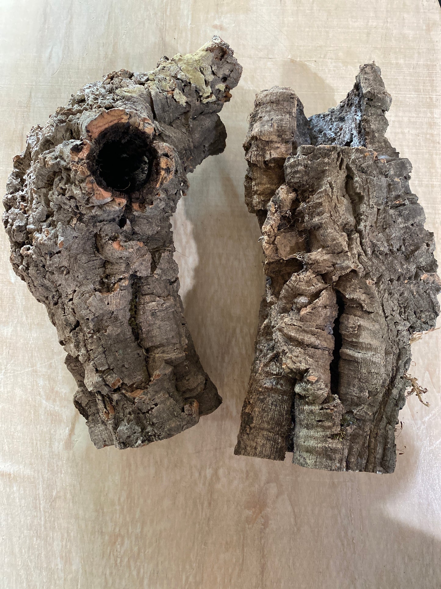 Cork Rounds