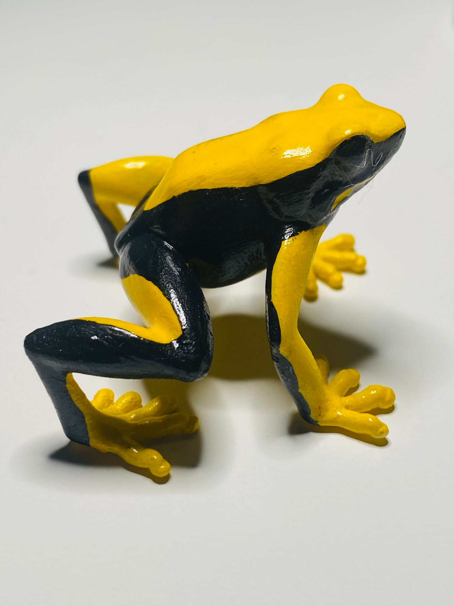 3D Printed Frog Large Dendrobates tinctorius “Yellowback”
