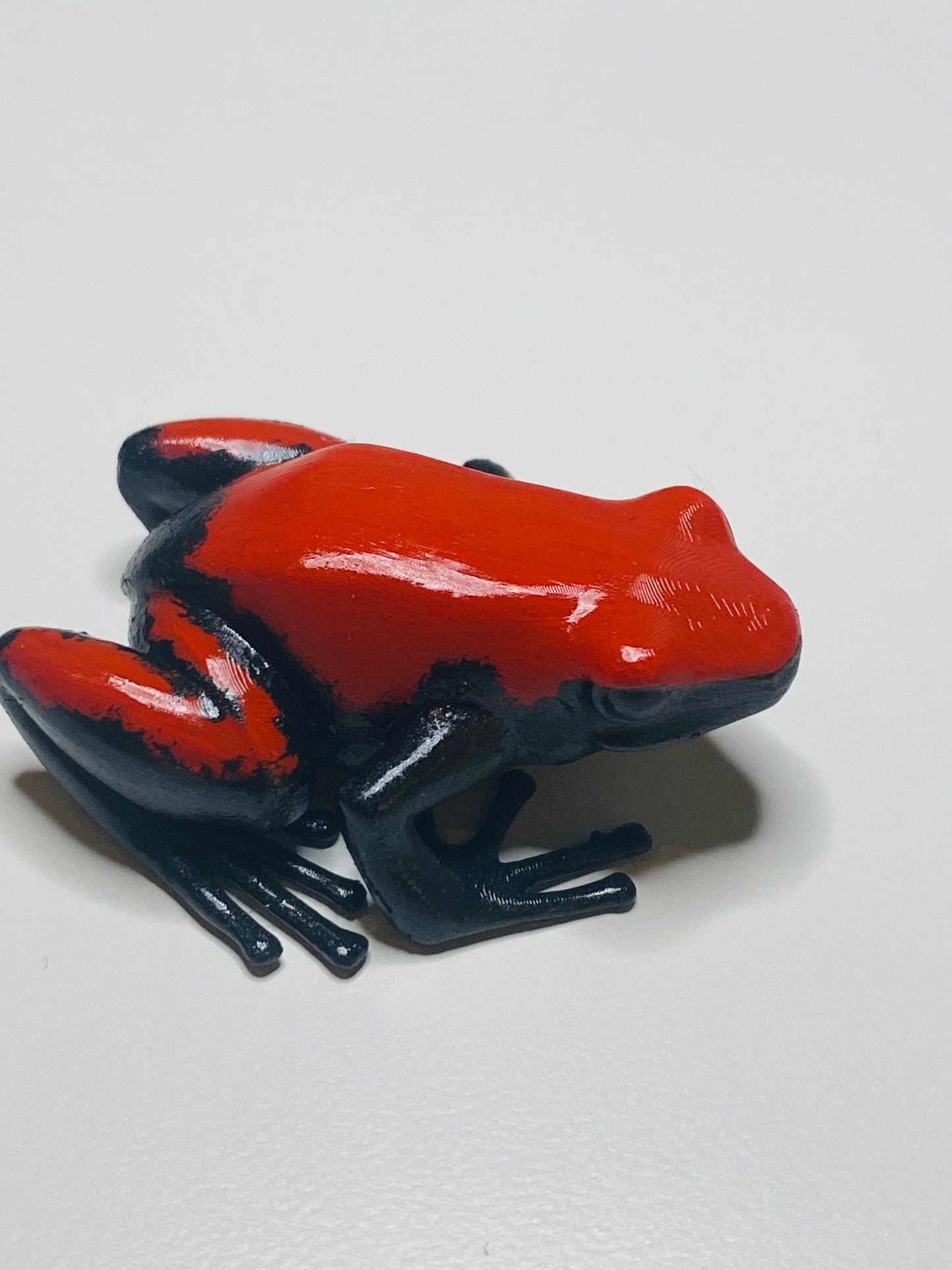 3D Printed Frog Large Adelphobates galactonotus “Red"