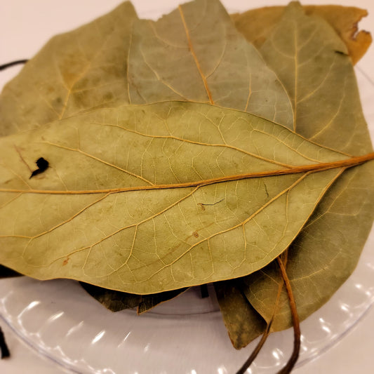 Avocado Leaves