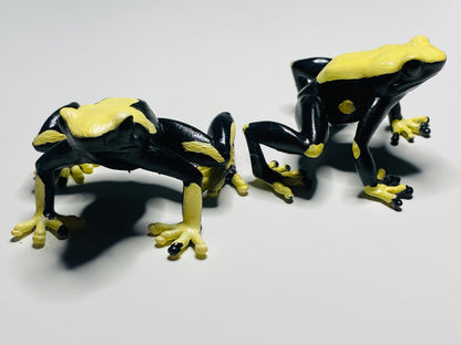 3D Printed Frog Large Dendrobates tinctorius Yellowback/ Cream