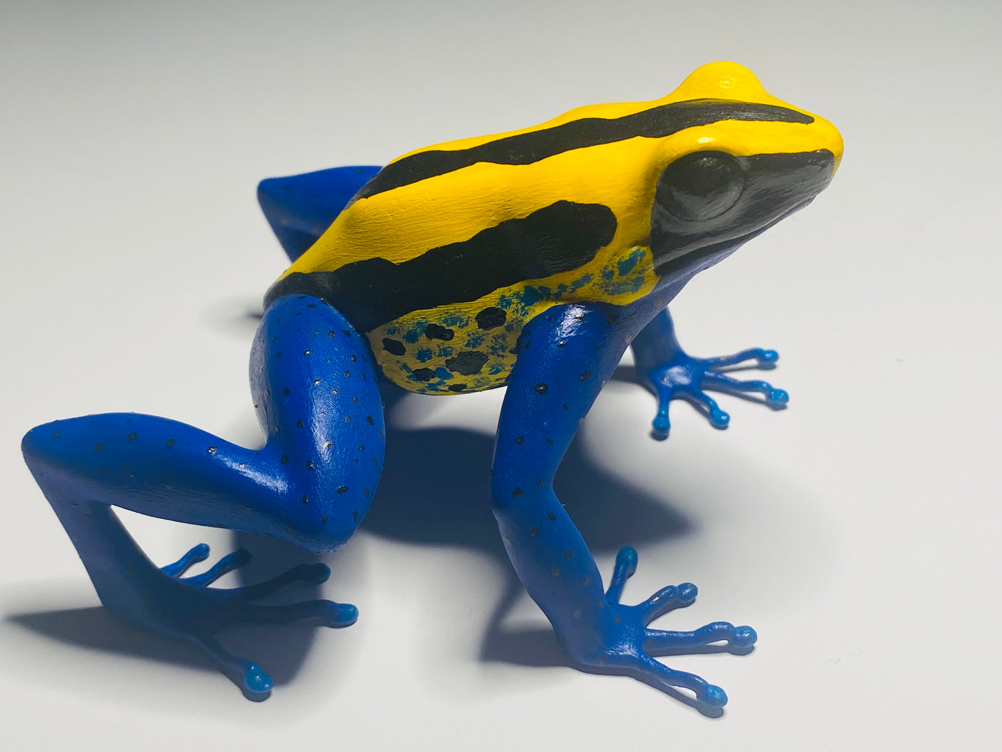 3D Printed Frogs Extra Large Dendrobates tinctorius "Brazilian Yellow Head"